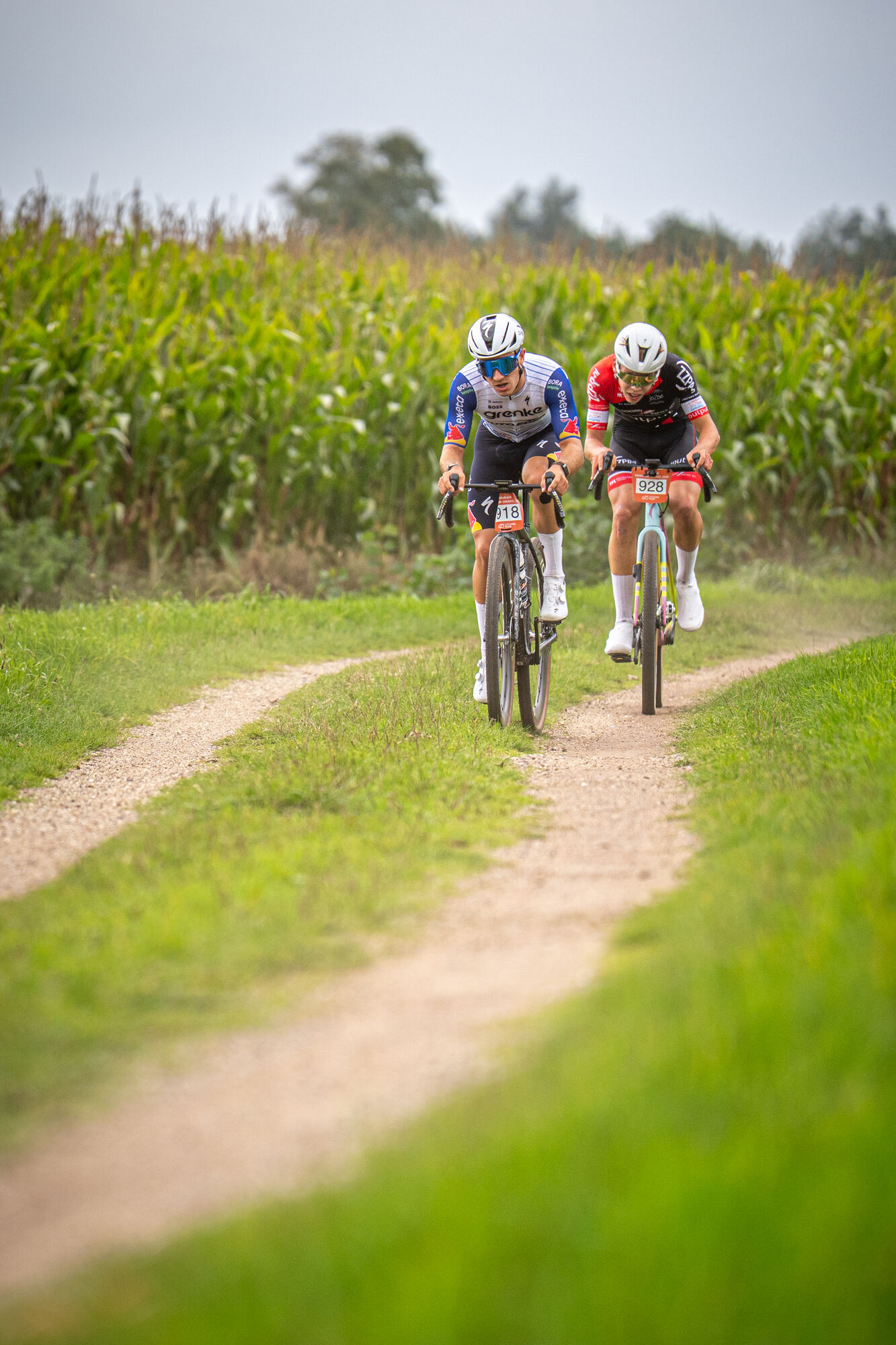 Red Bull – BORA – hansgrohe (11/14)